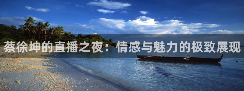 nbajrkan直播：蔡徐坤的直播之夜：情感与魅力的极致展现