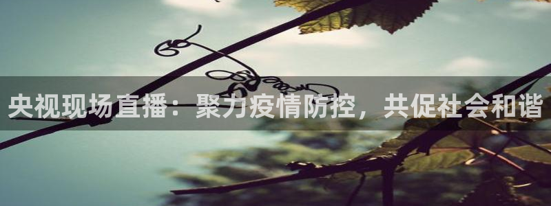 jrkan nba直播：央视现场直播：聚力疫情防控，共促社会和谐