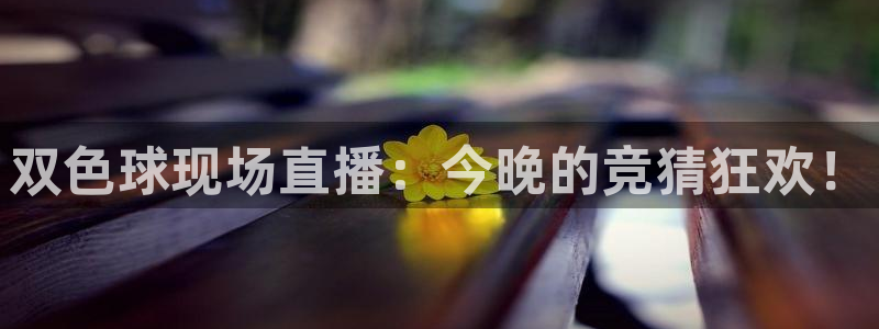 jrkan直播免费高清体育直播nba：双色球现场直播：今晚的竞猜狂欢！