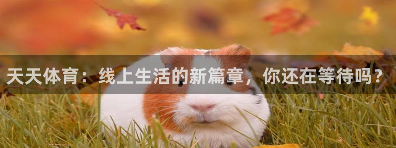 jr看球网直播nba：天天体育：线上生活的新篇章，你还在等待吗？