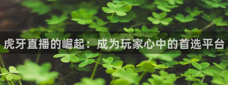 jrkan直播体育app：虎牙直播的崛起：成为玩家心中的首选平台