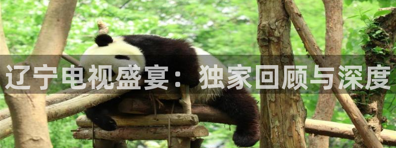jrkan.com直播体育：辽宁电视盛宴：独家回顾与深度