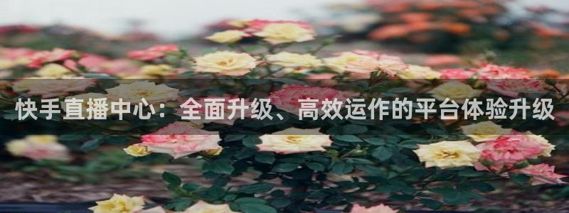 jrkan直播体育app：快手直播中心：全面升级、高效运作的平台体验升级