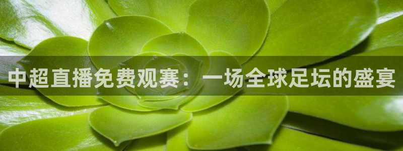 jrkan篮球直播：中超直播免费观赛：一场全球足坛的盛宴