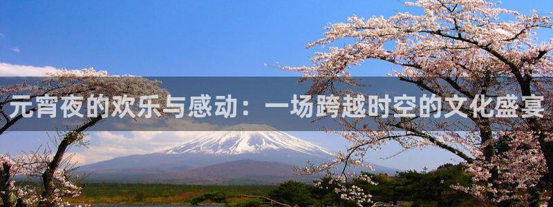 jrkan直播：元宵夜的欢乐与感动：一场跨越时空的文化盛宴